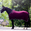John Whitaker Club Show Rug - Burgundy