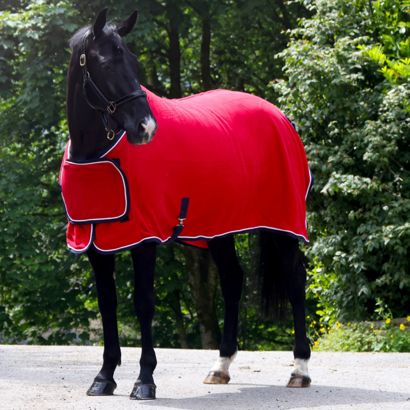 John Whitaker Club Show Rug - Red-1
