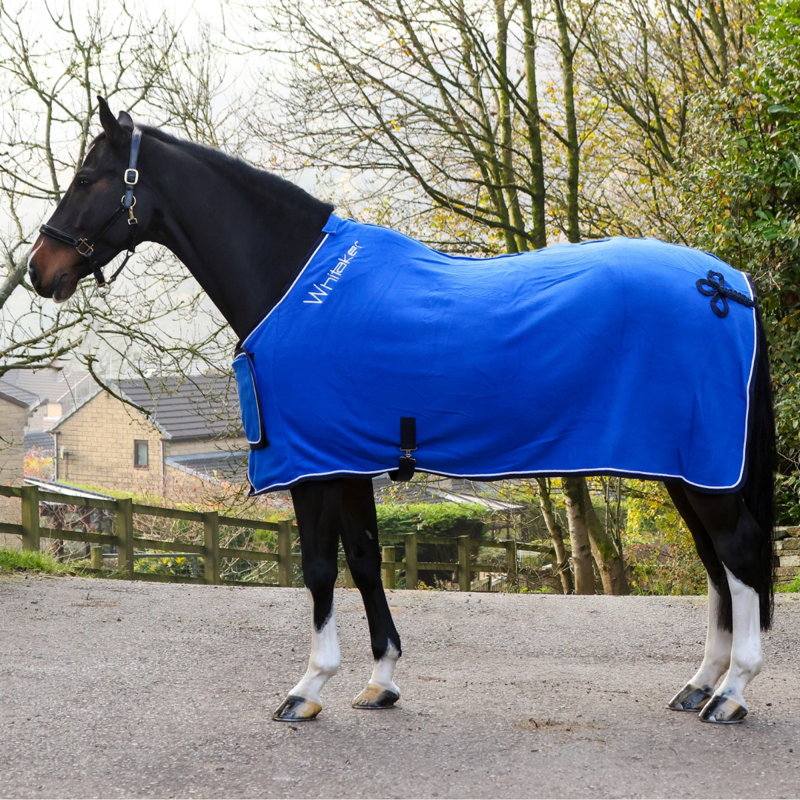 John Whitaker Club Show Rug - Royal