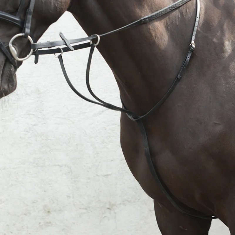 EquiSential Running Martingale - Black