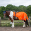 Gallop Trojan Retro Reflective Mesh Exercise Sheet - Orange