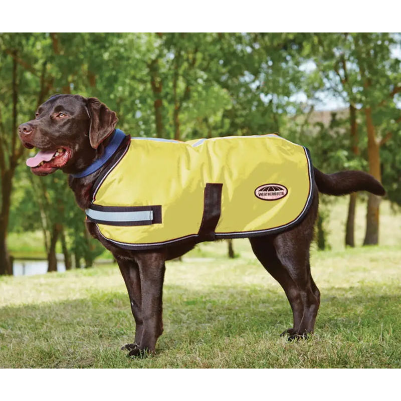 WeatherBeeta ComFiTec Reflective Parka 300D Dog Coat - Yellow
