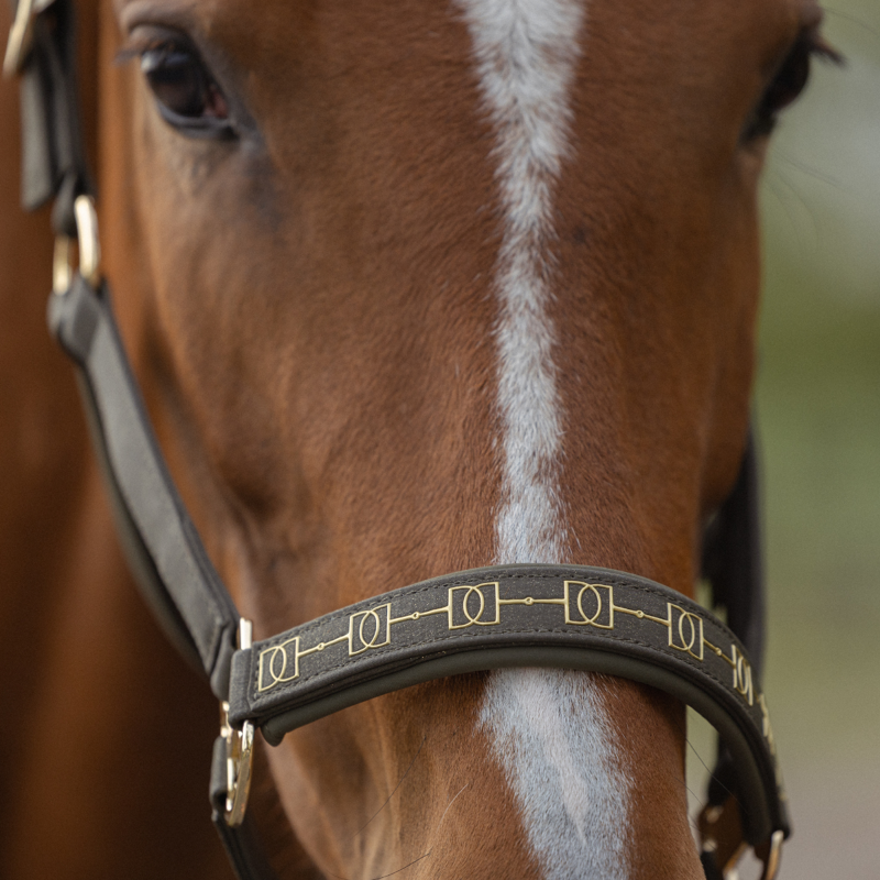 Eskadron Sparkle Double Pin Headcollar Heritage AW26 - Deep Moss-1
