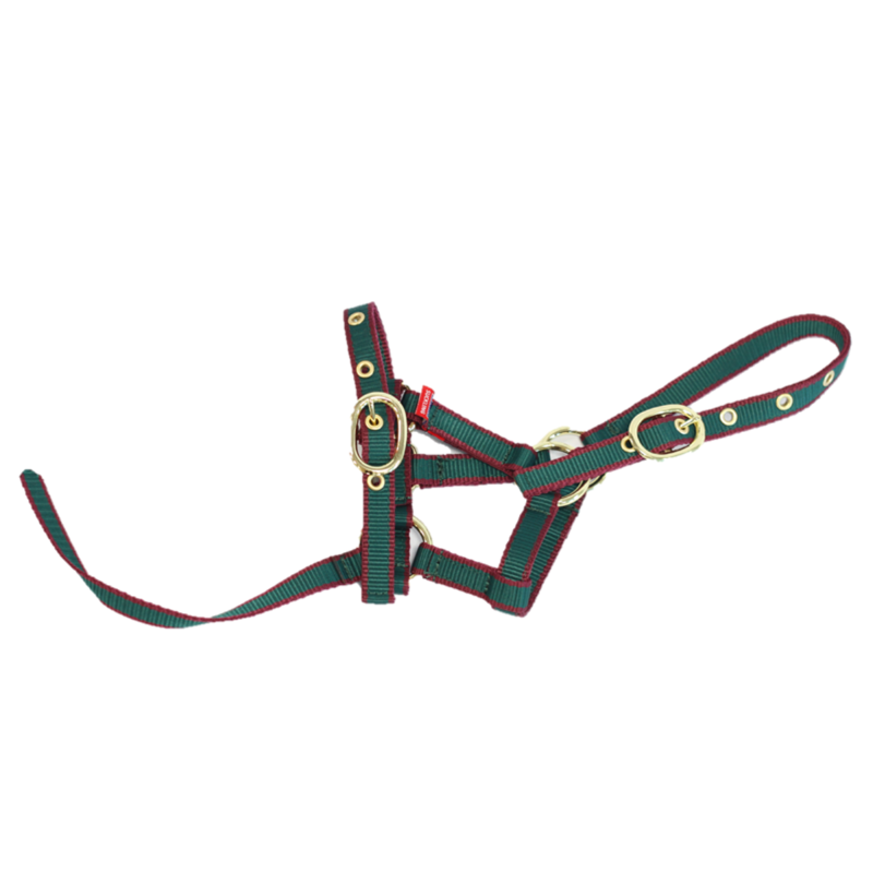 Equisential Nylon Headcollar - Green/Burgundy-2