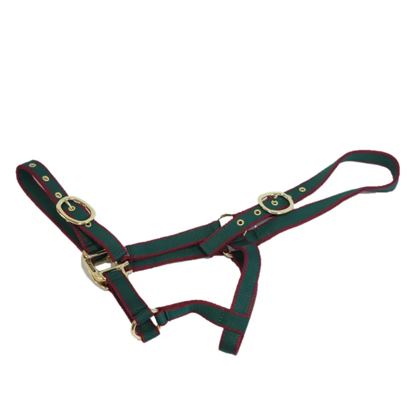 Equisential Nylon Headcollar - Green/Burgundy-1