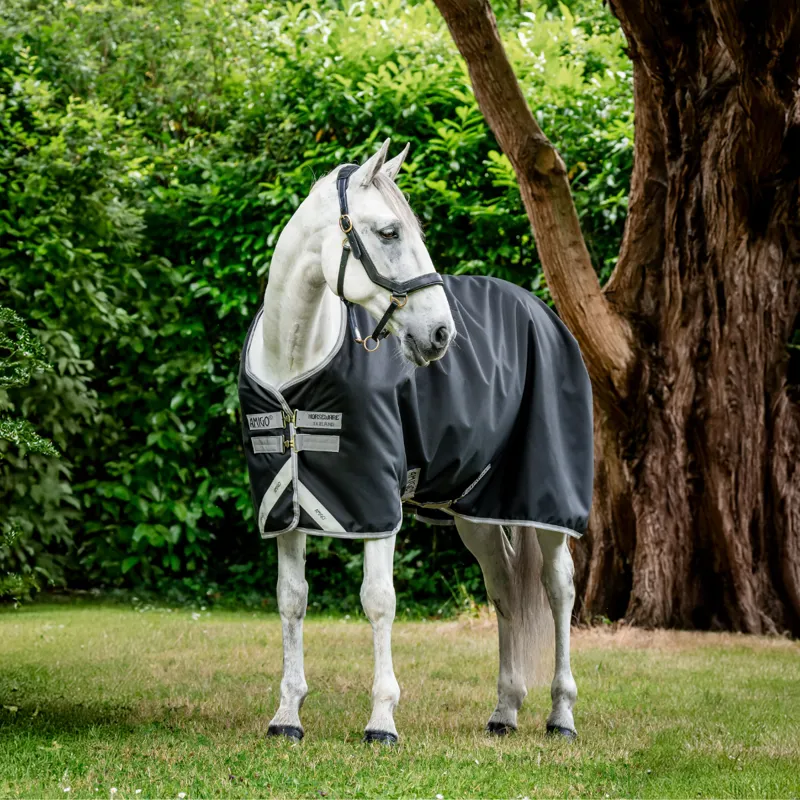 Horseware Amigo Bravo 12 Original Med 250g Turnout Rug - Black/Titanium Grey Silver