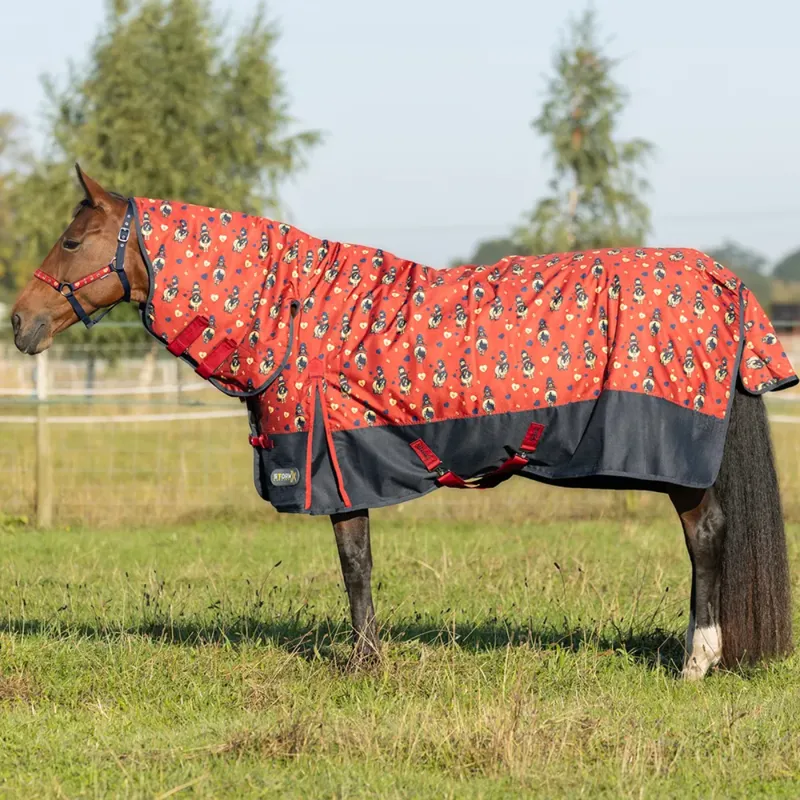 Hy StormX Original 200 Combi Turnout Rug - Thelwell Collection Balancing Act - Red/Navy