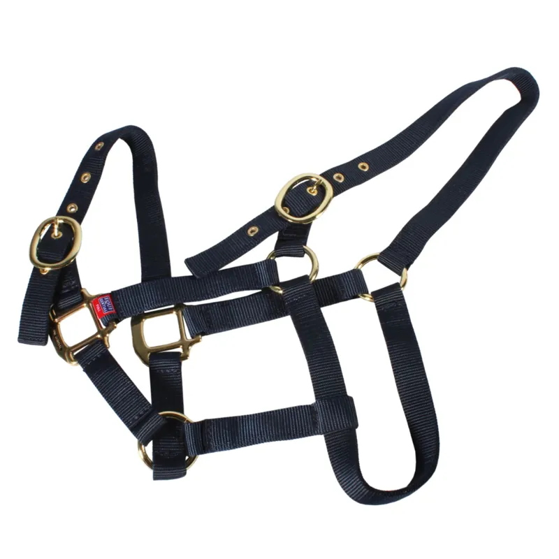 Equisential Nylon Headcollar - Navy-2