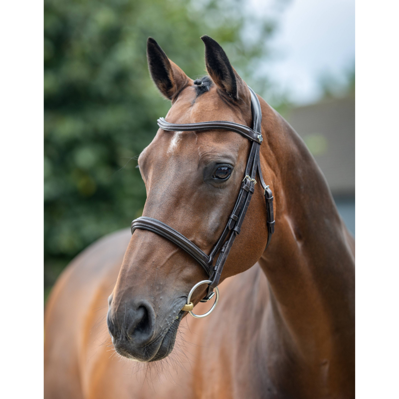 LeMieux Arika Cavesson Bridle - Brown/Silver-3