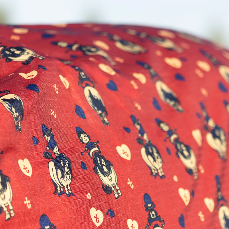 Hy StormX Original 200 Combi Turnout Rug - Thelwell Collection Balancing Act - Red/Navy-3