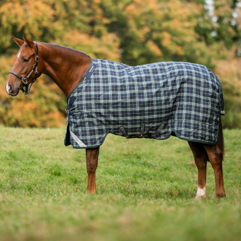 Horseware Rhino 0g Turnout Rug - Hunter Check/Green and Navy