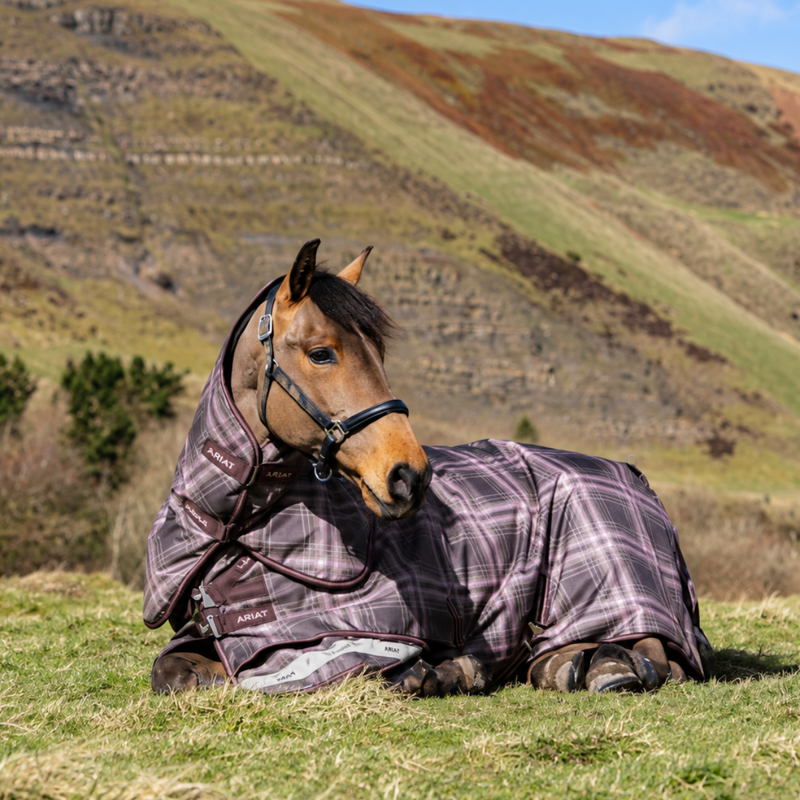 LeMieux Arika Check 100g Turnout Rug - Cocoa-2