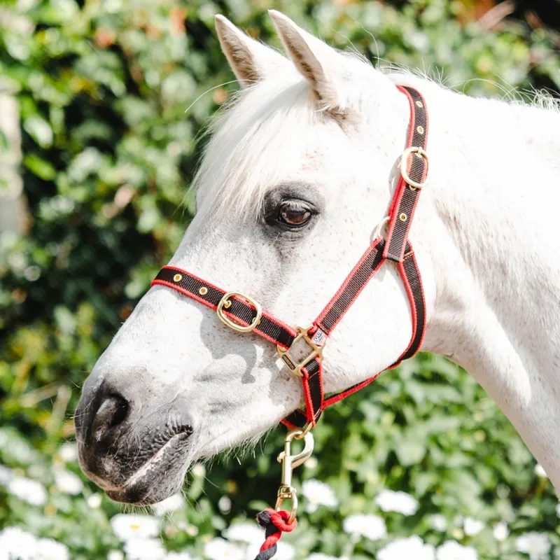 Equisential Nylon Headcollar - Red/Black-1