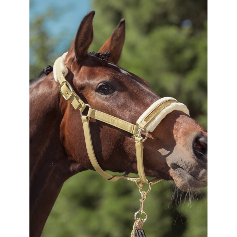 Eskadron Faux Leather Jewel FF Double Pin Headcollar - Cardamom-1