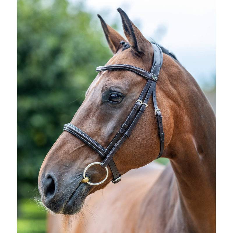 LeMieux Arika Cavesson Bridle - Brown/Silver-1
