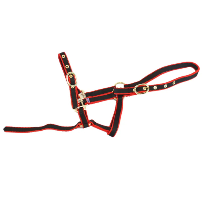 Equisential Nylon Headcollar - Red/Black-2