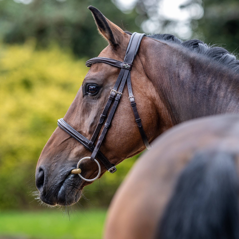 LeMieux Arika Cavesson Bridle - Brown/Silver-2