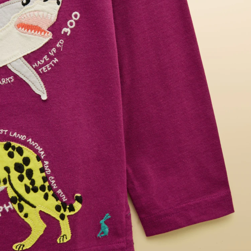 Joules Boy's Finlay Applique Long Sleeve T-Shirt - Purple-3