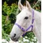 Equisential Nylon Headcollar - Purple