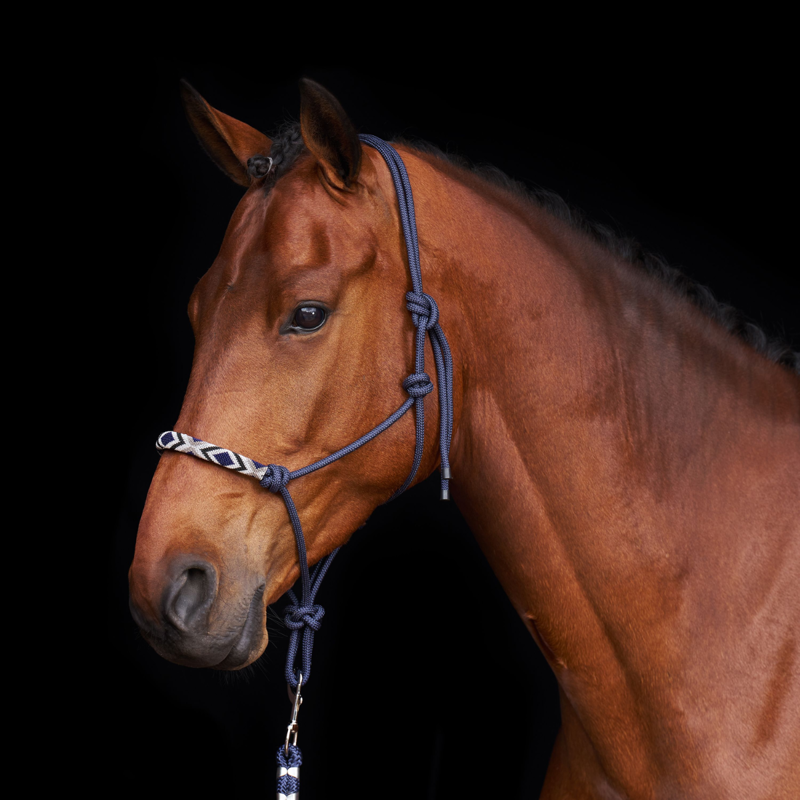 HV Polo Lamu Headcollar - Full - Navy-1