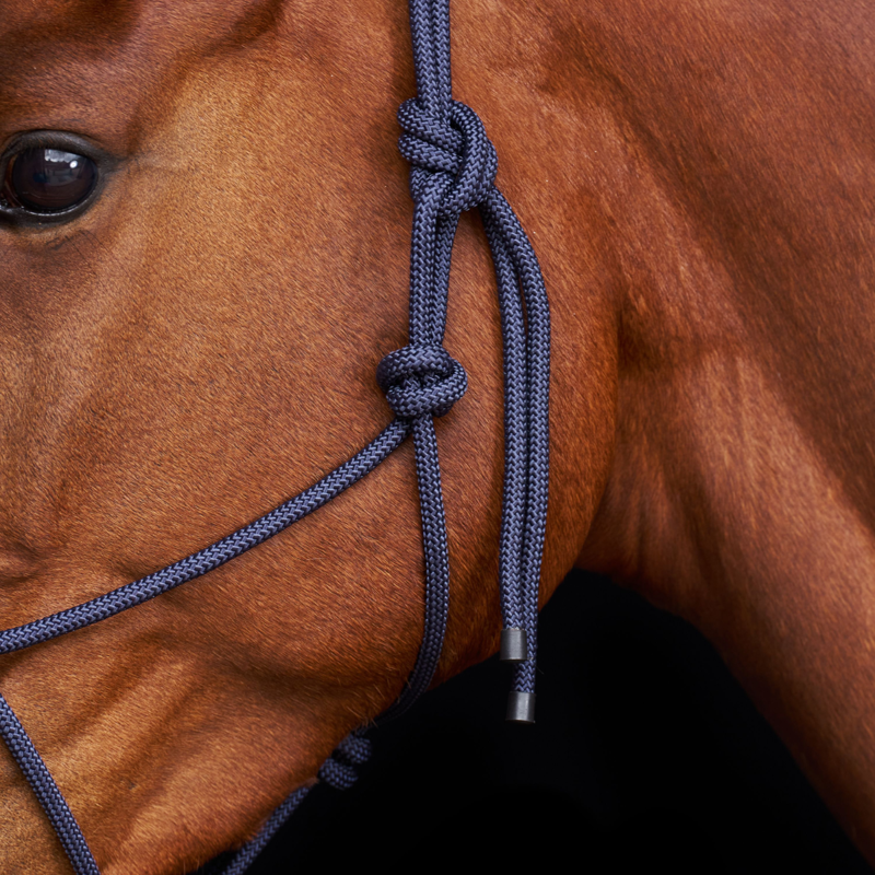 HV Polo Lamu Headcollar - Full - Navy-2