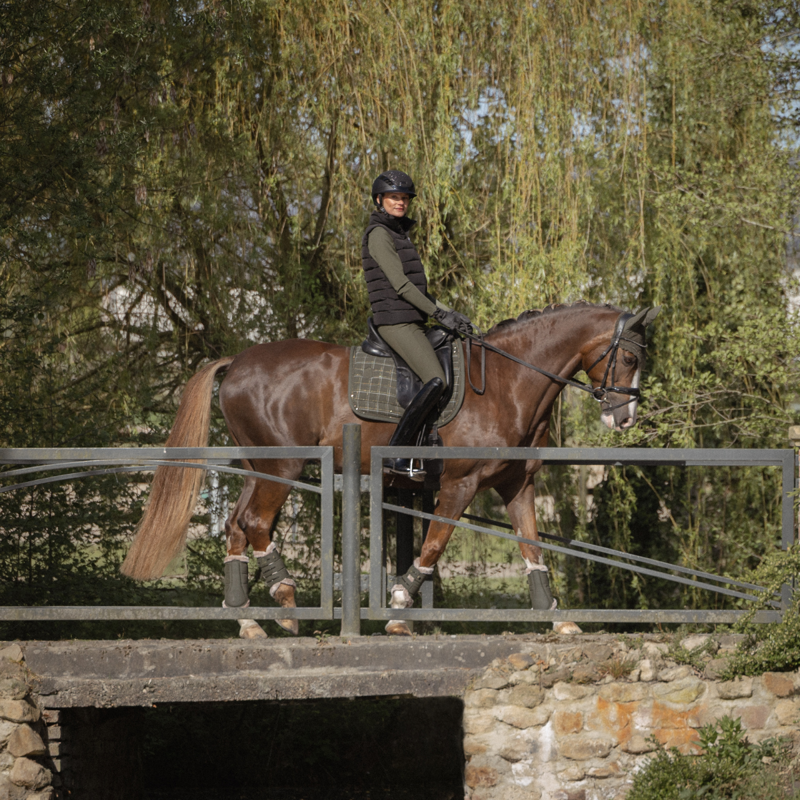 Eskadron Boulce Crystal Saddlepad Heritage AW26 - Deep Moss-1