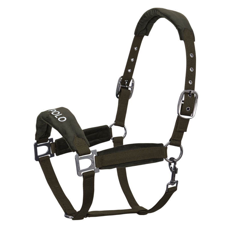 HV Polo Luxury Headcollar - Forest Green
