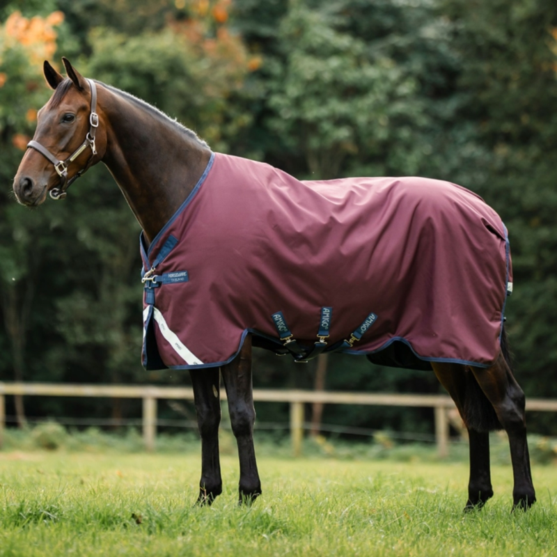 Horseware Amigo 1200D 0g Turnout Rug Plus - Burgundy/Navy/Titanium Grey