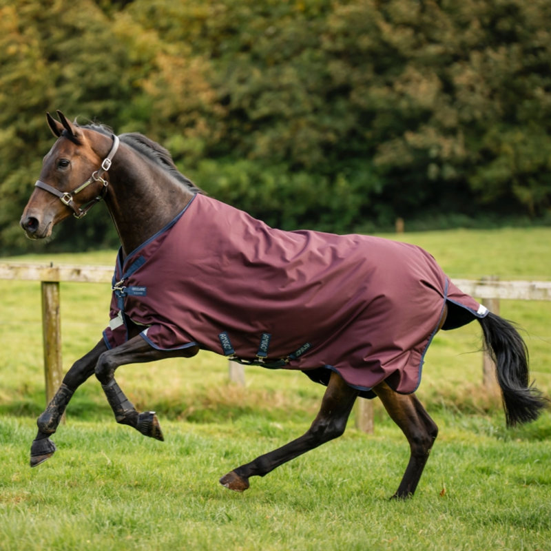 Horseware Amigo 1200D 0g Turnout Rug Plus - Burgundy/Navy/Titanium Grey-1