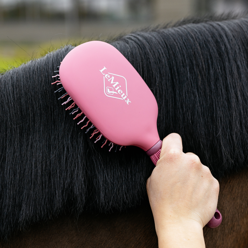 LeMieux Tangle Tidy - Peony-2