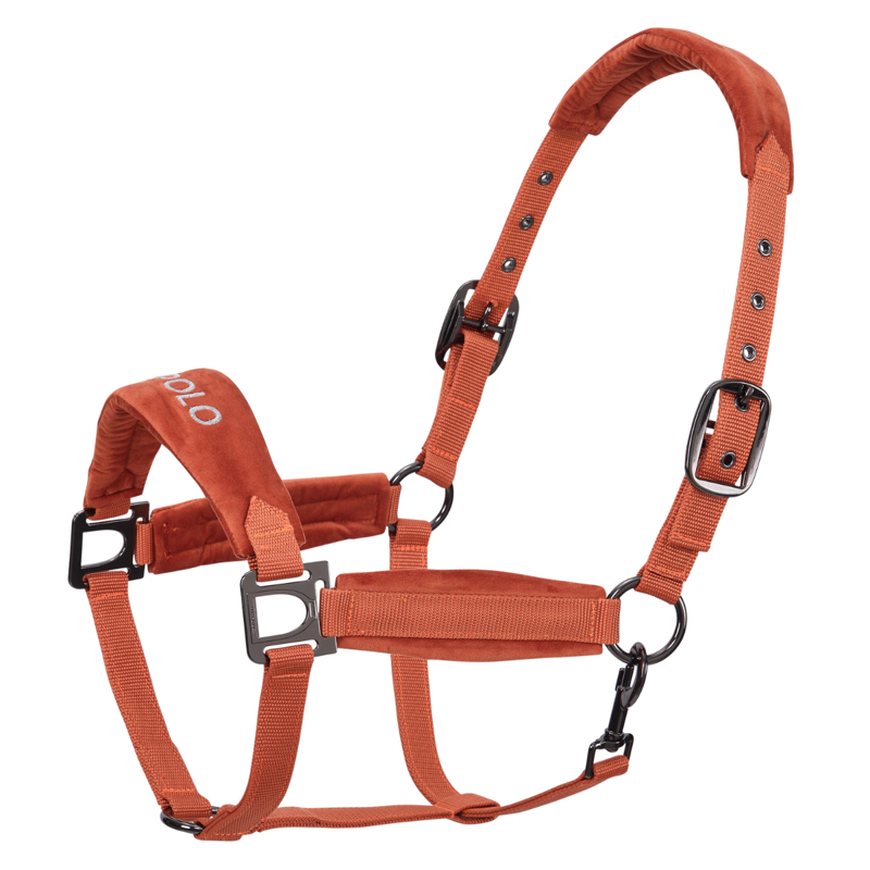 HV Polo Luxury Headcollar - Pumpkin