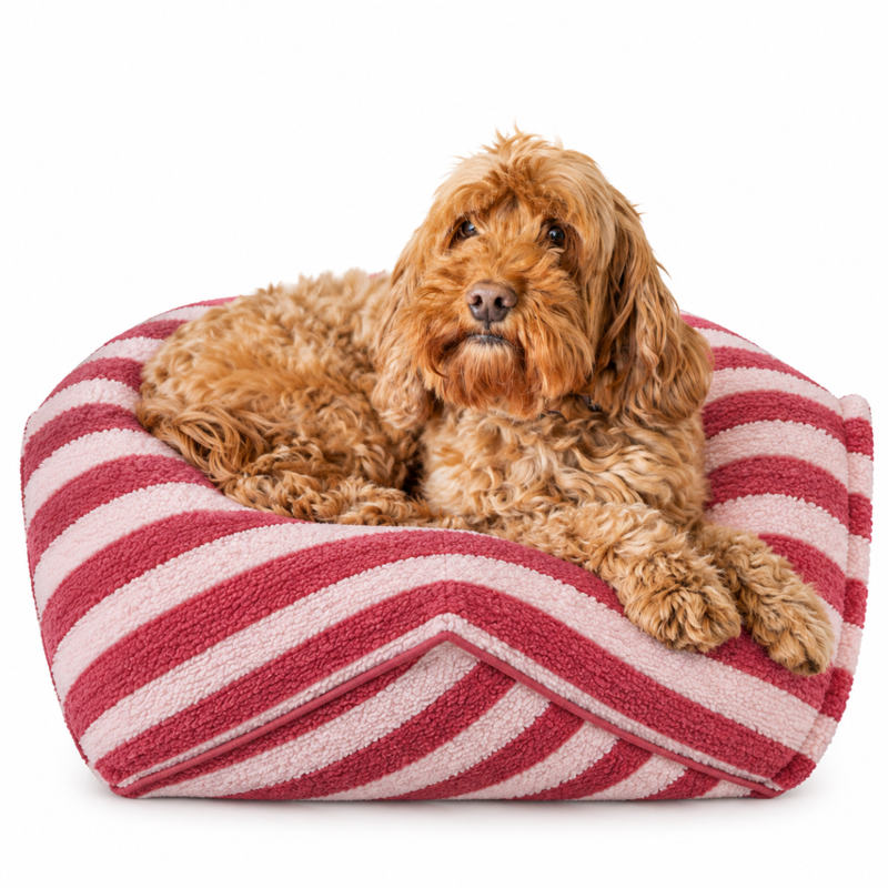 Rosewood Stripe Sherpa Bean Bag Dog Bed - Pink