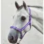 Equisential Economy Headcollar and Leadrope Set - Purple/Silver