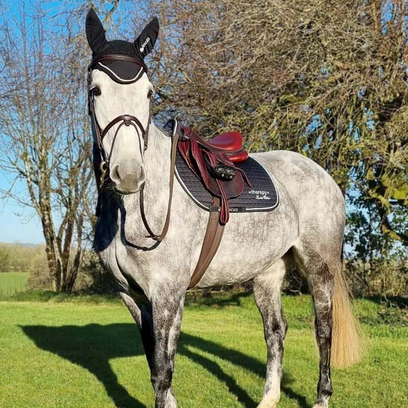 Bucas Therapy Jump Saddlepad - Black/Silver Limited Edition-2