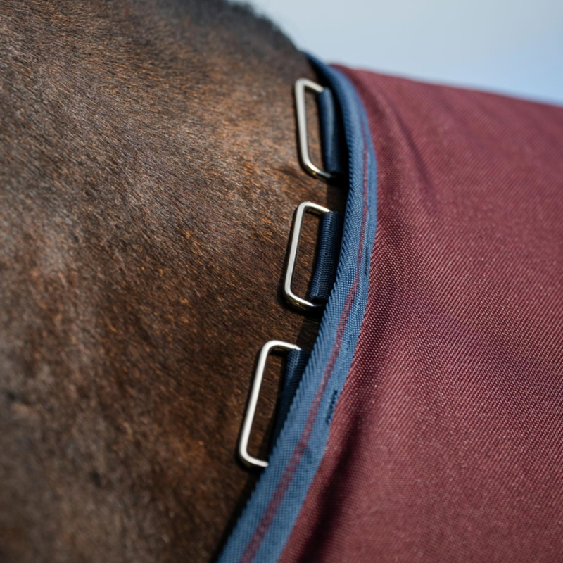 Horseware Amigo 1200D 50g Turnout Rug Plus - Burgundy/Navy/Titanium Grey-2
