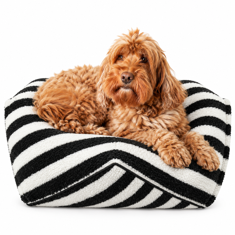 Rosewood Stripe Sherpa Bean Bag Dog Bed - White