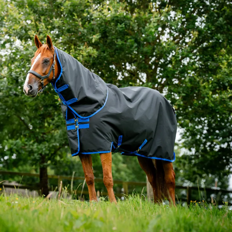 Horseware Amigo Ripstop 900 Plus 200g Turnout Rug - Black/Classic Blue-2