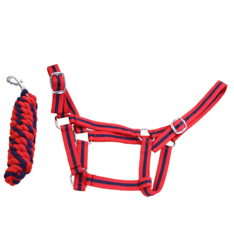 Equisential Economy Headcollar and Leadrope Set - Red/Navy