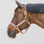 Kentucky Nylon Breakaway Headcollar - Old Rose
