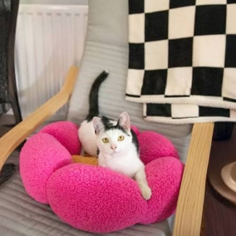 Rosewood Cosy Flower Cat Bed-1