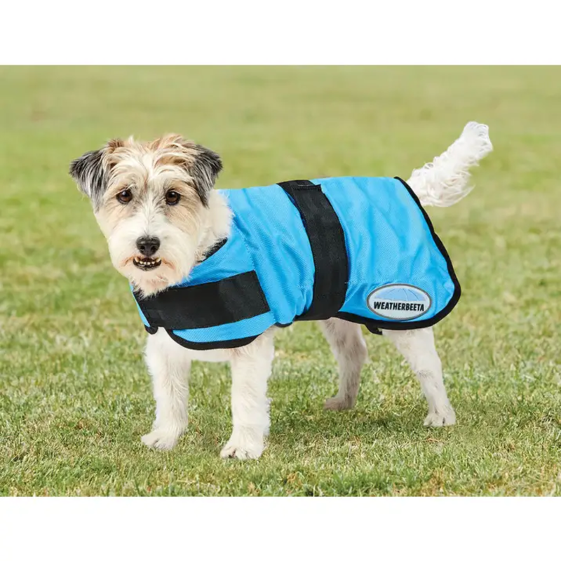 WeatherBeeta Therapy-Tec Cooling Dog Coat - Blue-1