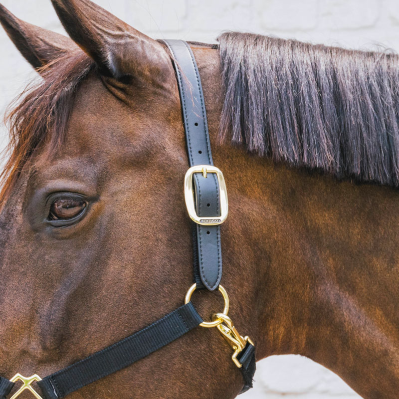 Kentucky Nylon Breakaway Headcollar Neck Piece - Black-1