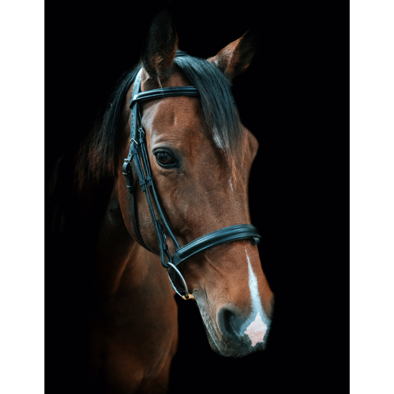Cameo Core Collection Anatomic Bridle With Sure Grip Reins - Brown-1