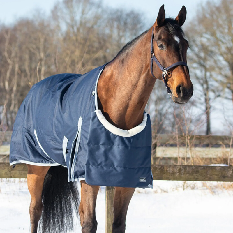 QHP Ontario Chest Protector - Navy-2