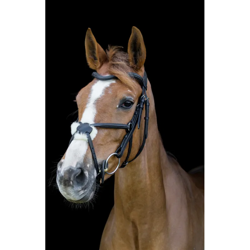 Cameo Core Collection Anatomic Grackle Bridle With Reins - Black