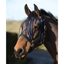 Saxon Fly Fringe - Navy