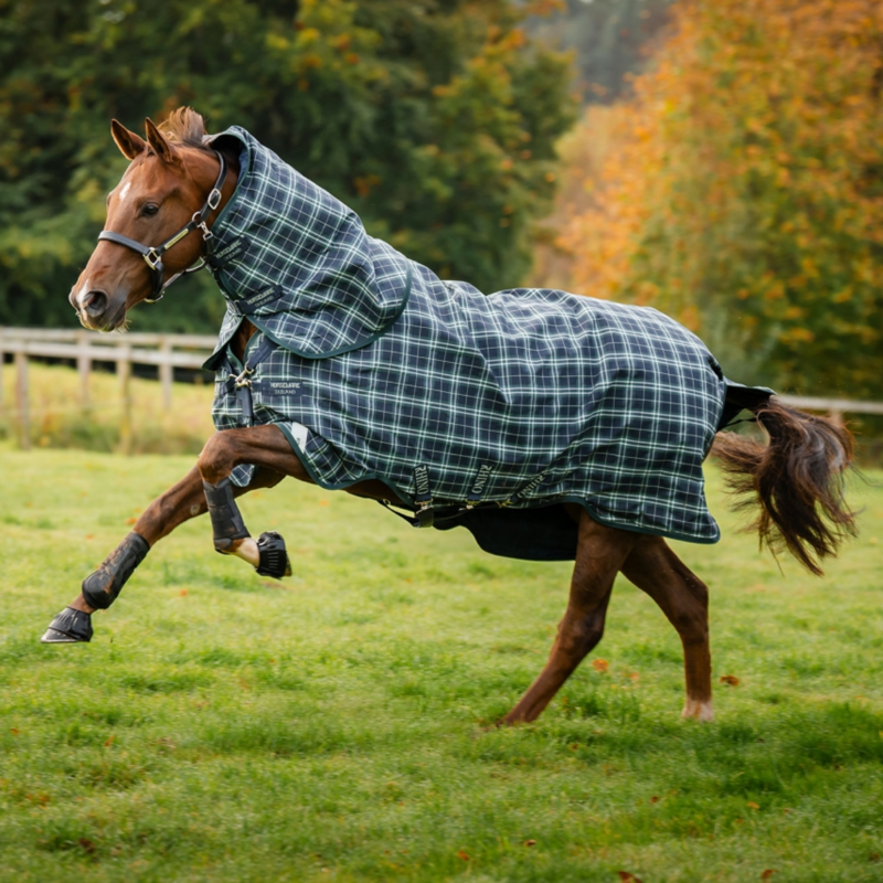 Horseware Rhino 100g Turnout Rug Plus - Hunter Check/Green/Navy-6