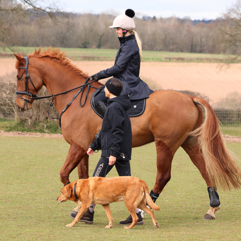 Aubrion React Non-Stop Riding Tights - Shadow-13