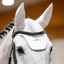 Horseware Alessandro Albanese Earnet - White
