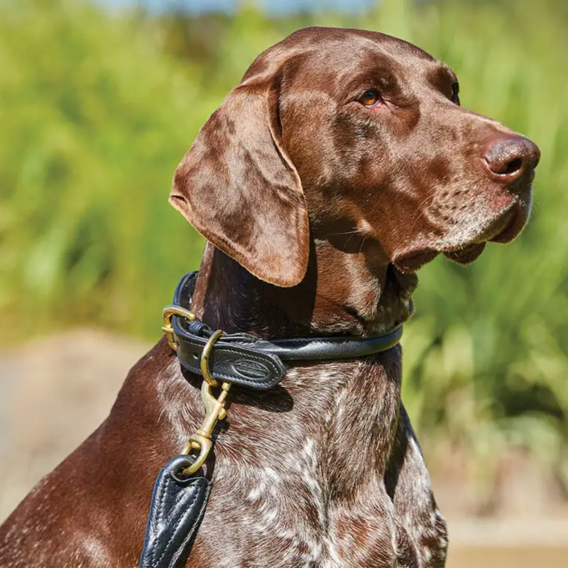 WeatherBeeta Rolled Leather Dog Collar - Black-1